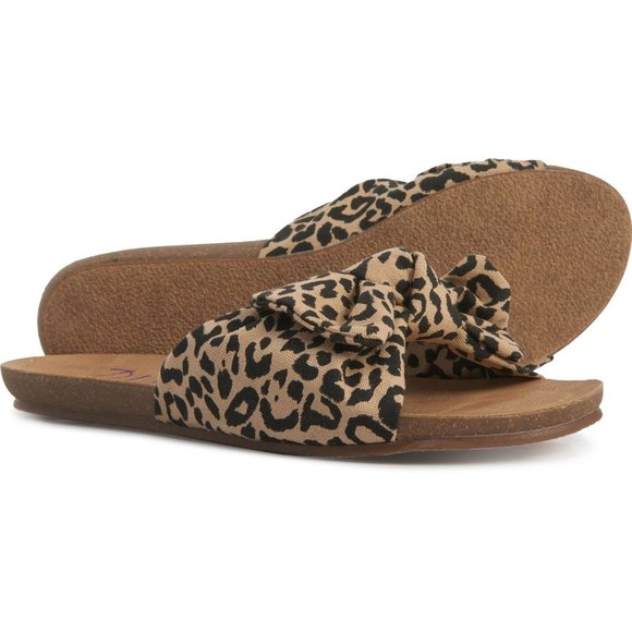 Blowfish ginah Clearance